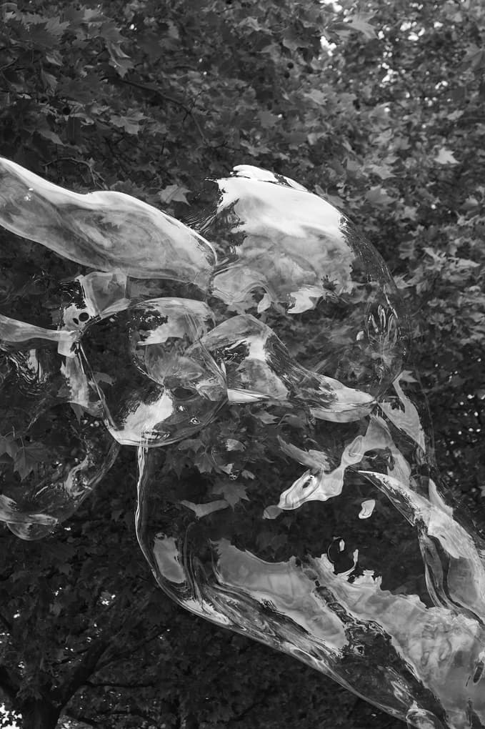 a moment through my lens, 4