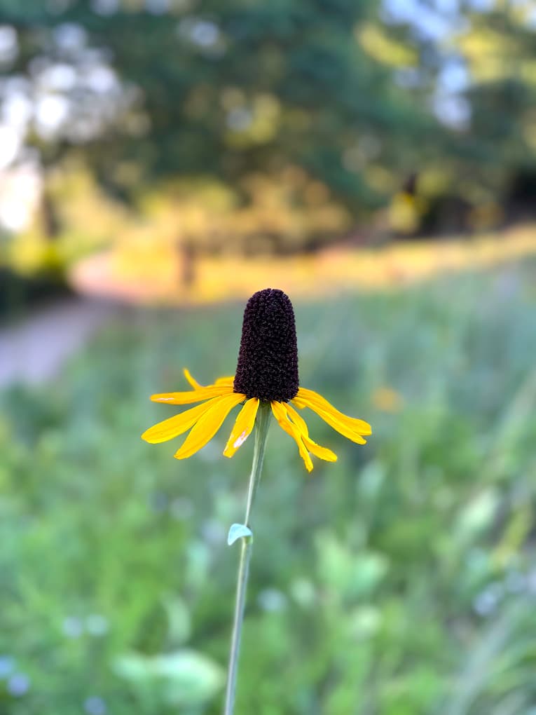 a moment through my lens, 12